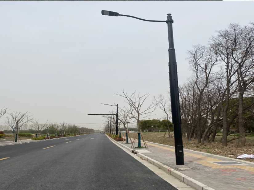 天涯区上海综合杆 太阳能路灯工程